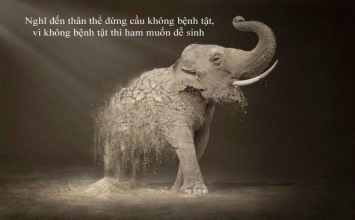 Mười điều tâm niệm